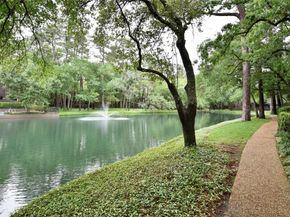201 Litchfield Lane, Houston TX 77024