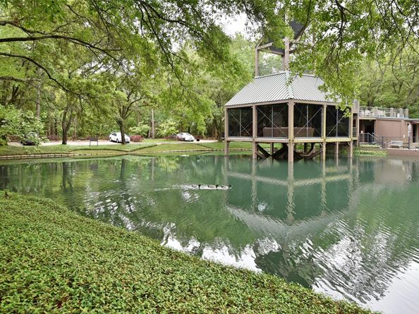 201 Litchfield Lane, Houston TX 77024