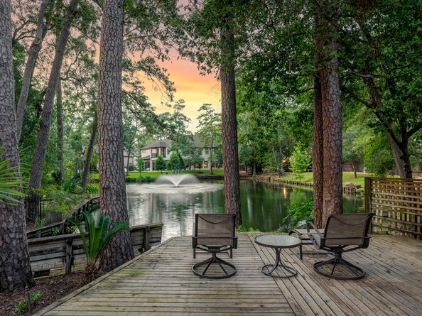 54 Patti Lynn Lane, Houston TX 77024