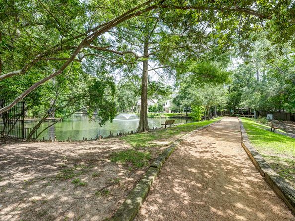 54 Patti Lynn Lane, Houston TX 77024
