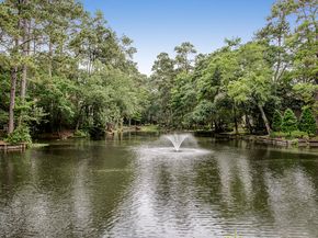 54 Patti Lynn Lane, Houston TX 77024