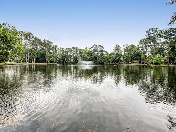 54 Patti Lynn Lane, Houston TX 77024