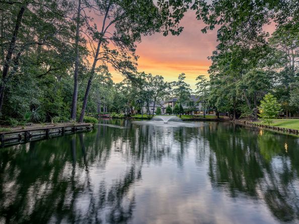 54 Patti Lynn Lane, Houston TX 77024