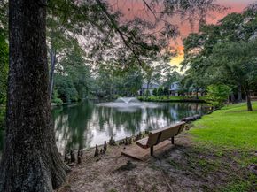 54 Patti Lynn Lane, Houston TX 77024