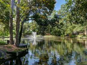 54 Patti Lynn Lane, Houston TX 77024