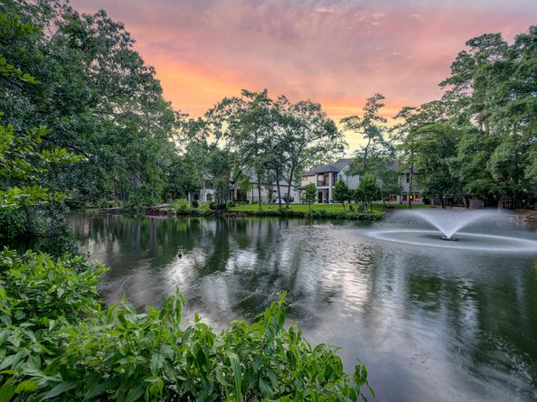 54 Patti Lynn Lane, Houston TX 77024