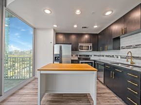 5925 Almeda Road 11406, Houston TX 77004