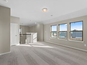 32027 Retama Ranch Lane, Spring TX 77386