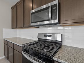 32027 Retama Ranch Lane, Spring TX 77386