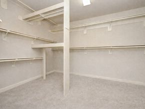 11302 Cypress Creek Lakes Drive, Cypress TX 77433