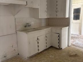 3215 Pecan Street, Houston TX 77087