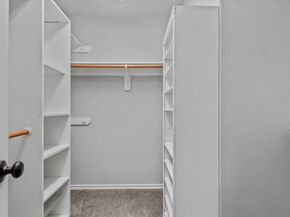 71 Summerhaze Circle, The Woodlands TX 77382