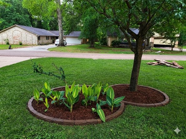 809 Glen Hollow Drive, Conroe TX 77385