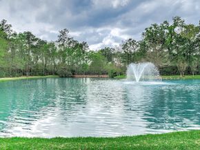 38 E Royal Mews, Conroe TX 77384