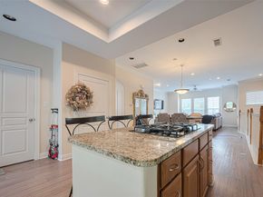 24 Versante Court, Houston TX 77070