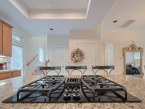 24 Versante Court, Houston TX 77070
