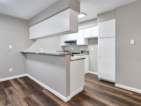 1529 Wirt Road 19, Houston TX 77055