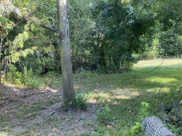 203 Cedar Circle, Daisetta TX 77357