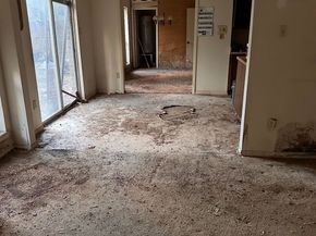 10510 White Fawn Drive, Houston TX 77041