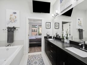 1717 SILVER Street, Houston TX 77007