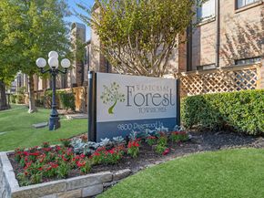 9800 Pagewood Lane 3103, Houston TX 77042