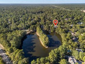 10 E Lakemist Circle, The Woodlands TX 77381