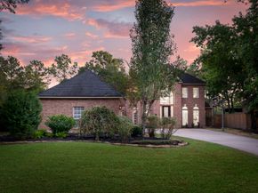 10 E Lakemist Circle, The Woodlands TX 77381
