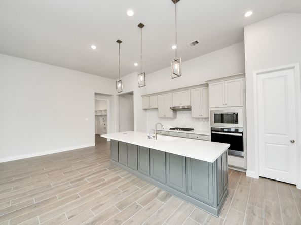 21919 Citrus Grove Court, Cypress TX 77433