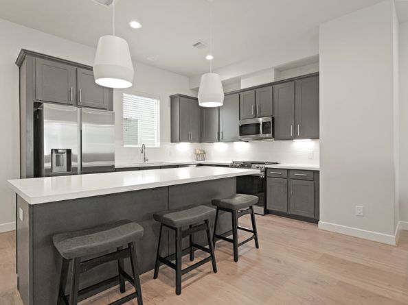 709 Sienna Palm Lane, Houston TX 77008