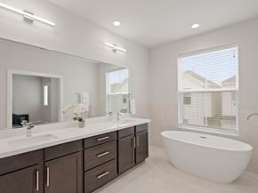 709 Sienna Palm Lane, Houston TX 77008