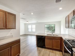 19030 Bee Line Court, Houston TX 77073