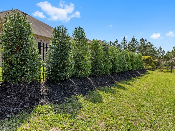 225 Fox Trotter, The Woodlands TX 77382
