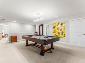 225 Fox Trotter, The Woodlands TX 77382