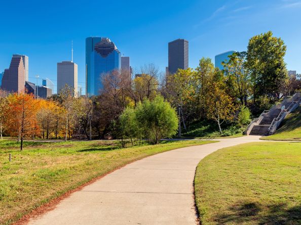 6115 Hamman Street, Houston TX 77007
