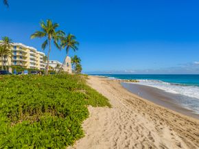 100 Worth Avenue 310, Palm Beach FL 33480