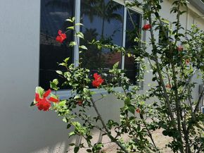 8263 N Lake Forest Drive, Davie FL 33328