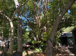 8238 NE 9th Avenue, Miami FL 33138