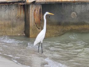 5600 N Flagler Drive 801, West Palm Beach FL 33407