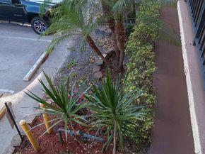 3450 Blue Lake Drive 204, Pompano Beach FL 33064