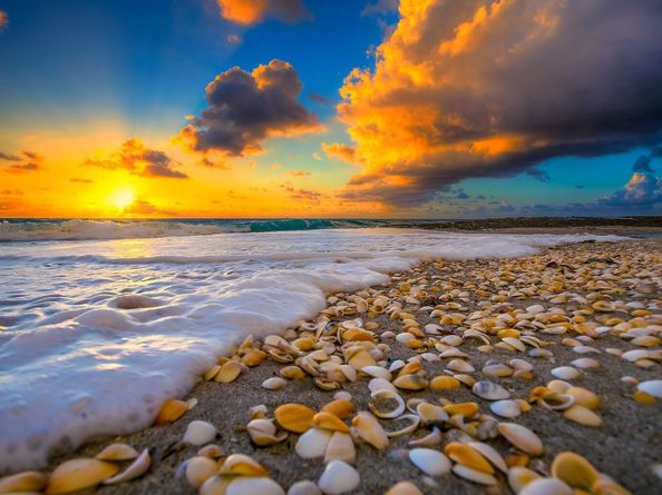 5440 N Ocean Drive 1206, Riviera Beach FL 33404