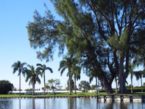 1008 SW 7th Avenue, Boynton Beach FL 33426