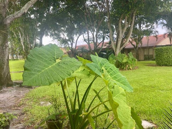 5975 Forest Grove 3 Drive 3, Boynton Beach FL 33437
