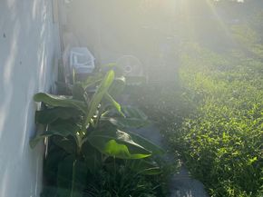 758 SW 3rd Pl, Dania Beach FL 33004