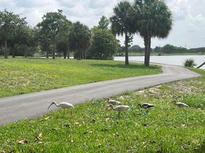 2020 Lake Osborne Drive 10, Lake Worth Beach FL 33461
