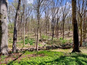 46 Stag Lane, Greenwich CT 06831