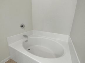 19720 Wt Gallaway ST, Manor TX 78653