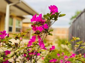 2210 Onion Creek PKWY 1404, Austin TX 78747