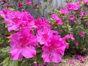 2210 Onion Creek PKWY 1404, Austin TX 78747