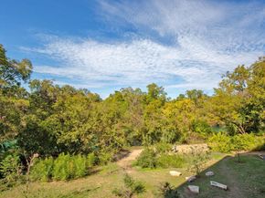 1900 Barton Springs RD 3038, Austin TX 78704