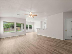 3920 Whitey Ford WAY, Round Rock TX 78665